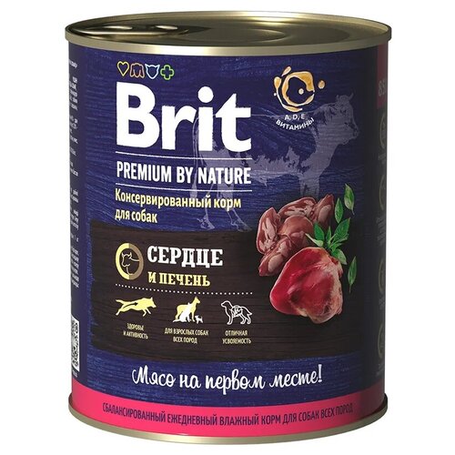     BRIT Premium by Nature     850   -     , -,   
