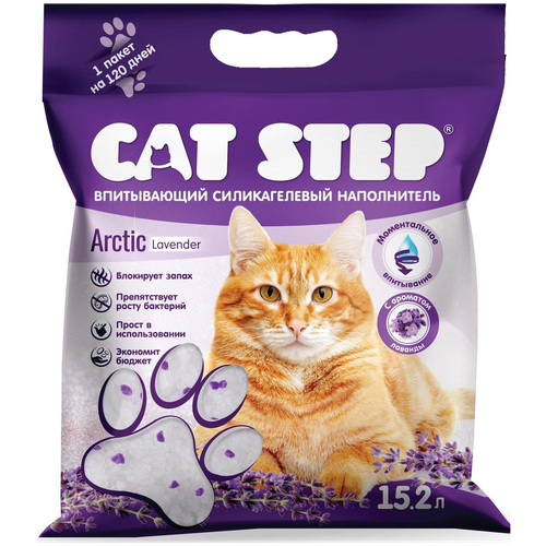   CAT STEP    Arctic Lavender  , 7,6