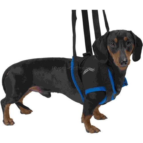     KRUUSE Walkabout harness    M   -     , -,   