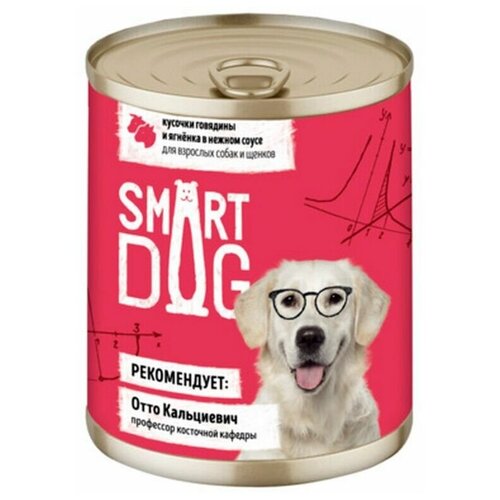  Smart Dog             , 0.4    -     , -,   