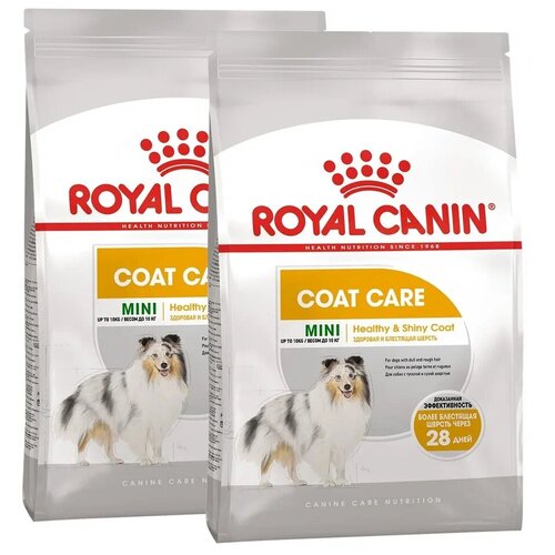    ROYAL CANIN MINI COAT CARE           (3 + 3 )   -     , -,   