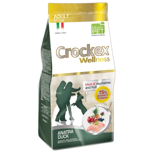  CROCKEX Wellness      ,    2  (2 )   -     , -,   