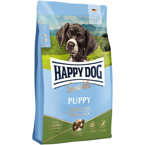  Happy dog     ,      -     , -,   