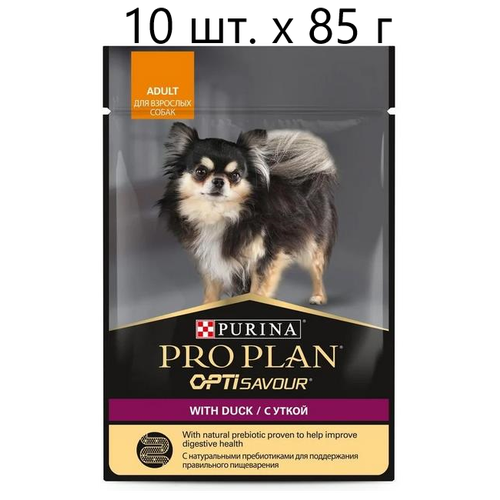      Purina Pro Plan OptiSavour adult with duck, , , 13 .  85  (    )   -     , -,   