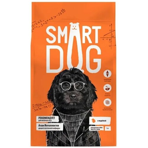  Smart Dog     , , , 3    -     , -,   