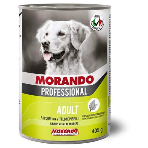  9952/316 Morando Professional         , 405,   -     , -,   