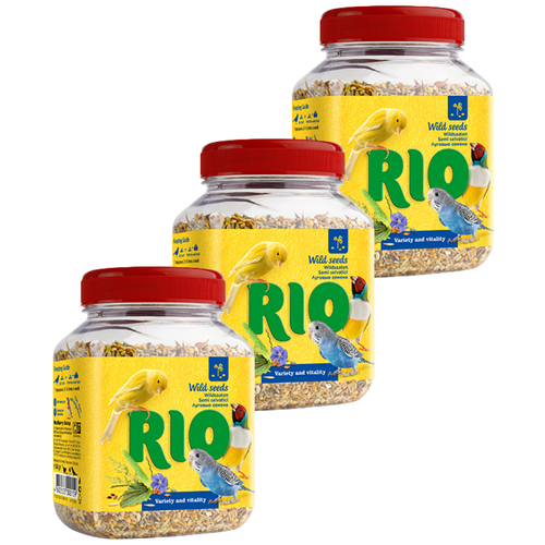      RIO    3   240    -     , -,   