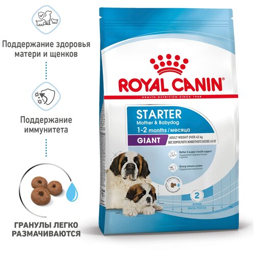    Royal Canin Giant Starter Mother&Babydog       , 4   -     , -,   