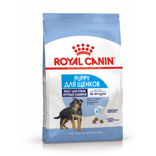       Royal Canin Maxi Puppy /              2  15    -     , -,   