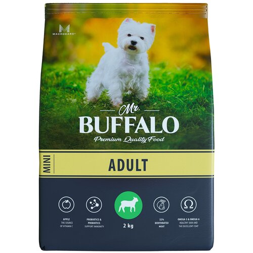  Mr.Buffalo Adult mini        , 2 .   -     , -,   