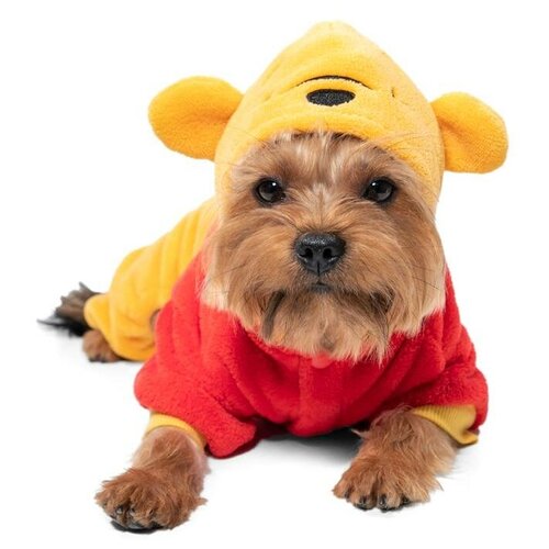    Disney Fun Winnie-the-Pooh S,  25   -     , -,   