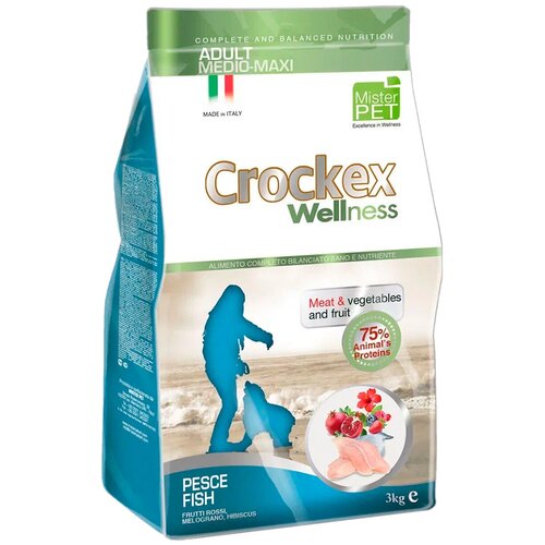     Crockex Wellness 3 /  / 65205   -     , -,   