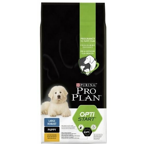  Pro Plan          (puppy large robust)   -     , -,   