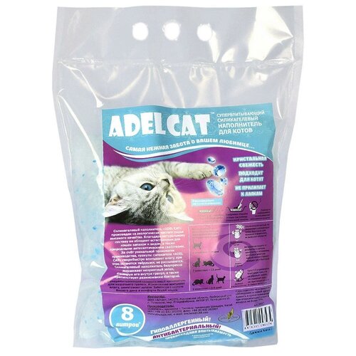    Adel Cat   , 8   -     , -,   