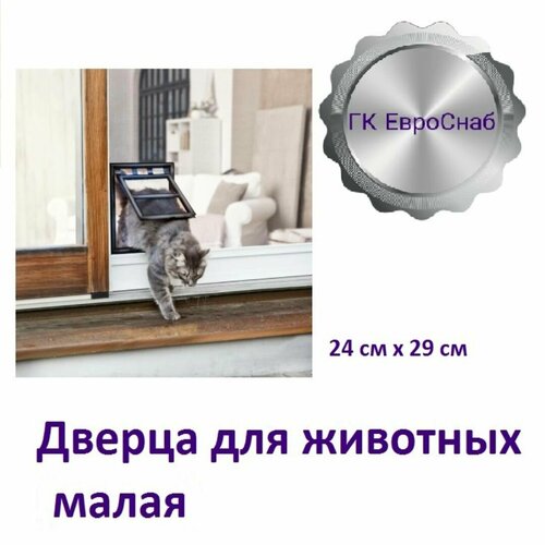 ���� ������ ��� �������� Nortex(�����), ������ ������