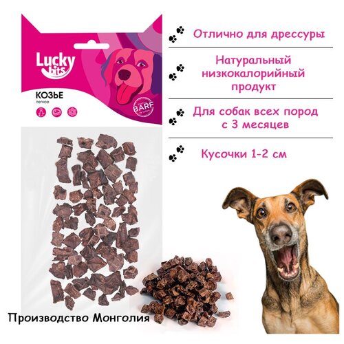      , Lucky bits, 40 