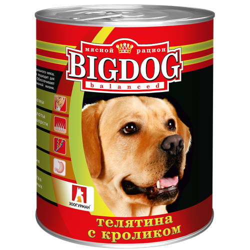       Big Dog, ,  9 .  850  (  )   -     , -,   